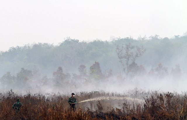 Pemerintah tindak kebakaran hutan bukan karena desakan Singapura