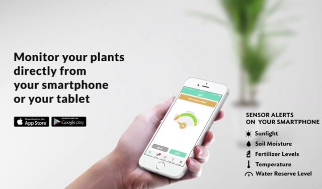 ‘Smart pot’ watches over house plants