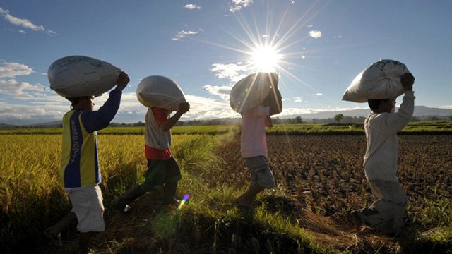 FOR THE FUTURE. What will the future of food security look like? File photo from AFP 
