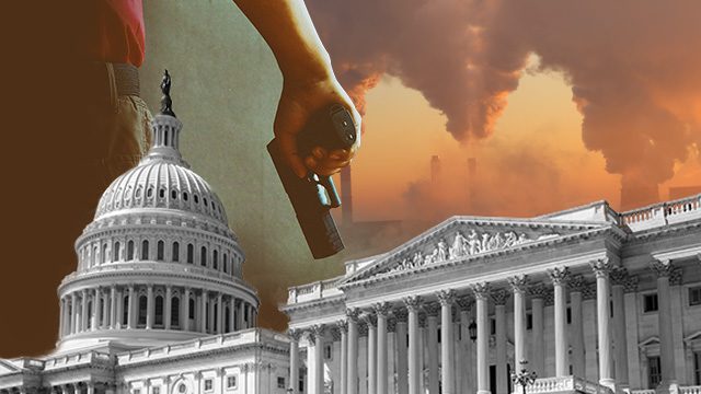 U.S. House holds first hearings on gun violence and climate change in 8 years