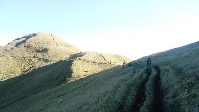 DENR imposes stricter rules for Mt Pulag trekkers