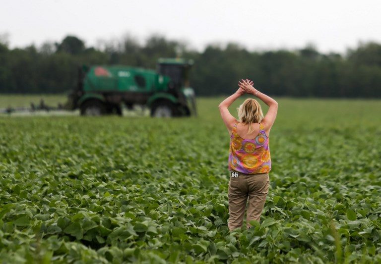 PROTEST. Argentine environmentalist Sofia Gatica tries to stop the spraying at a soybean field in Dique Chico, Cordoba province, Argentina, on January 20, 2018.
Soybean fields in Argentina are often fumigated with glyphosate, a herbicide which is probably carcinogenic according to the World Health Organization (WHO), but which is needed to maintain crops of transgenic seeds. Photo by Diego Lima/AFP 