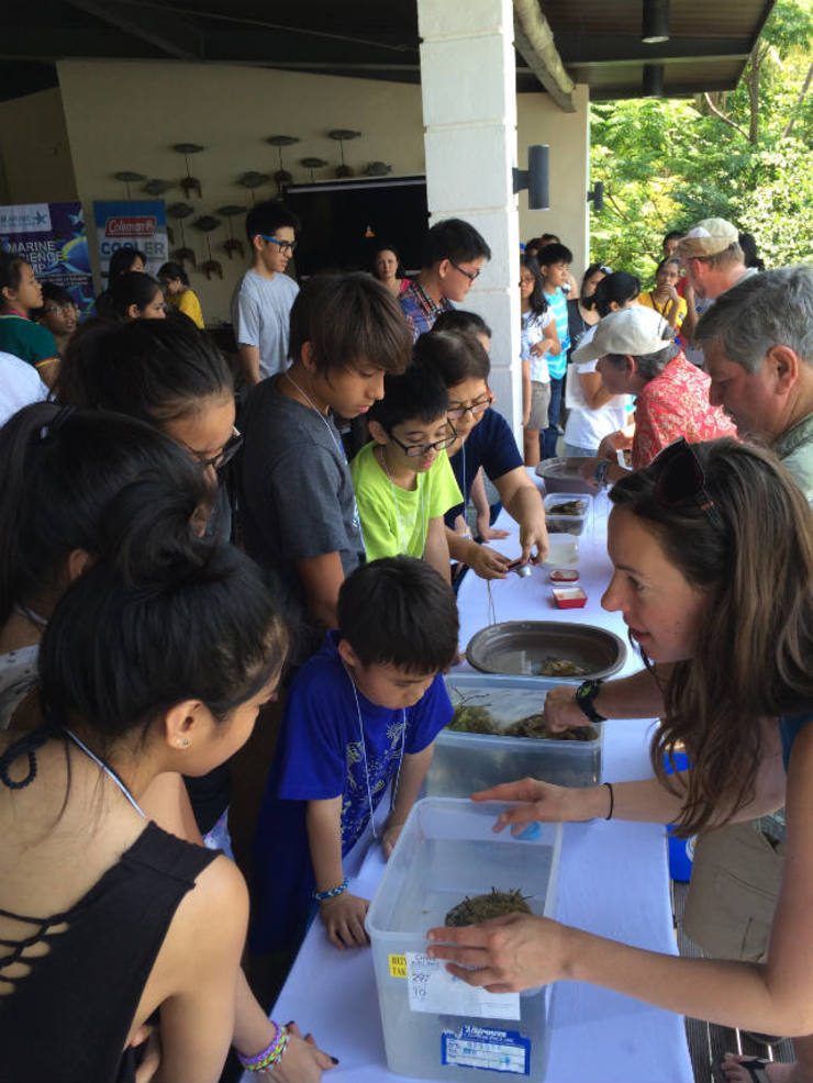 SHOW AND TELL. CAS marine biologists explain marine organisms up close and personal.
