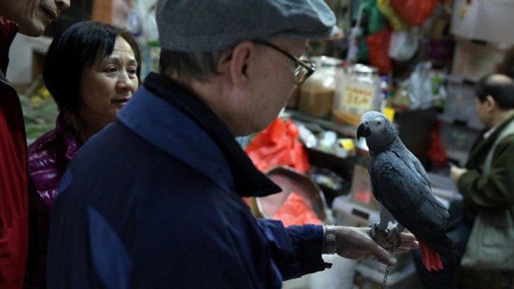 China bird flu death reported as 2014 toll rises