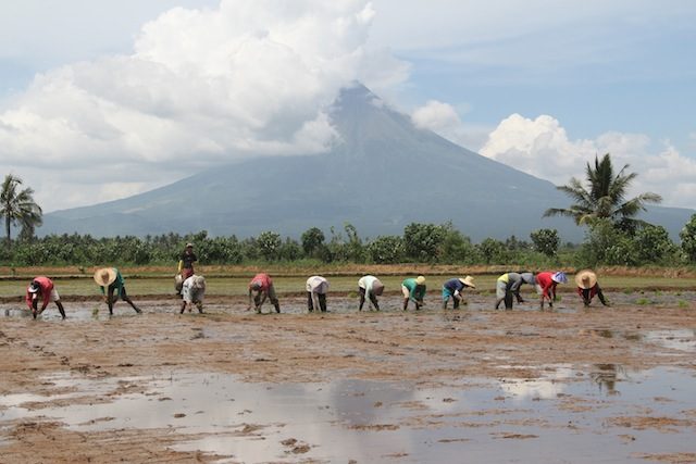 Alcala wants farming to become ‘sexy’ again to younger Filipinos