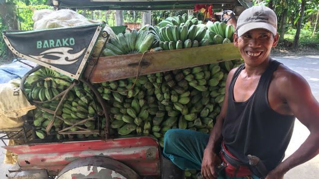 This farm in Pagsanjan empowers banana farmers through sustainable agri-livelihood project