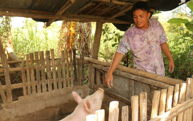 Wilmer received two piglets from World Vision. He was able to sell the other one and used the money to buy additional materials for his house and another piglet to grow. Photo from World Vision 