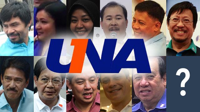 UNA confirms first 11 senatorial bets of Binay