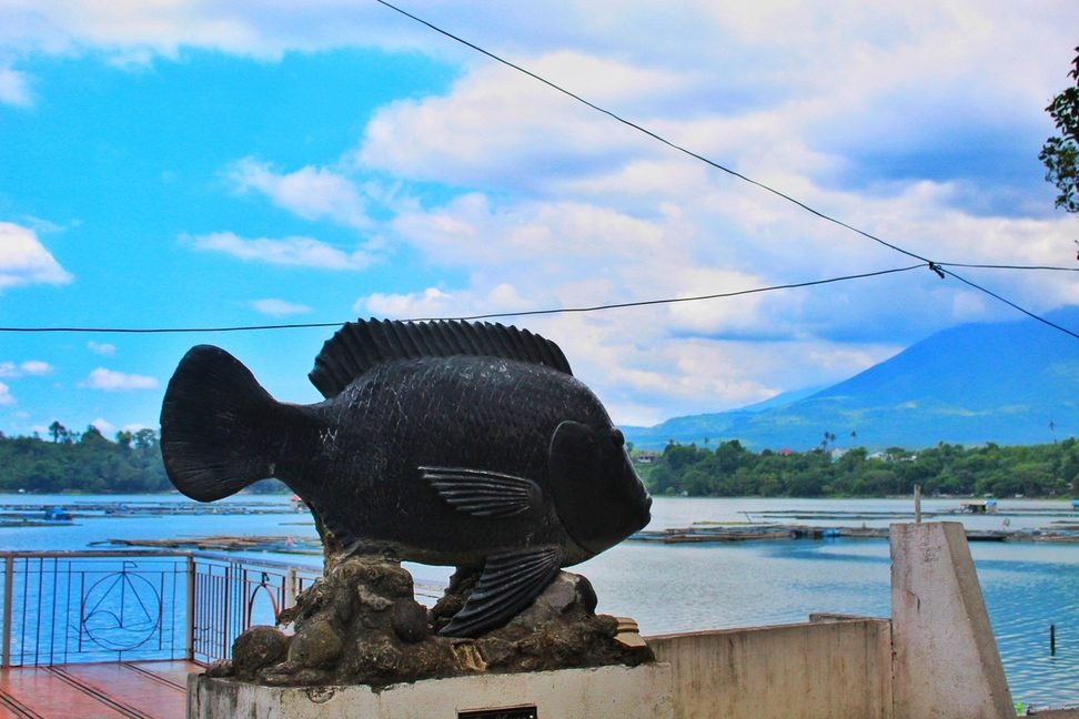 ROADTRIP. On the way is a view of Sampaloc Lake and the Giant Tilapia statue.  