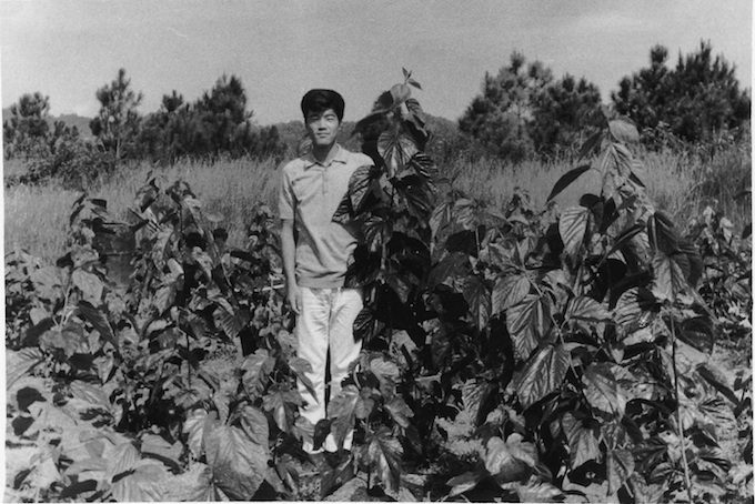 FIRST VOLUNTEER. Japanese volunteer Hidekazu Kumano helped in cultivating mulberry trees during his 2-year stay in La Trinidad, Benguet in the 1950s. Photo courtesy of JICA 