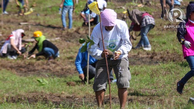 Philippines ‘breaks world tree-planting record’