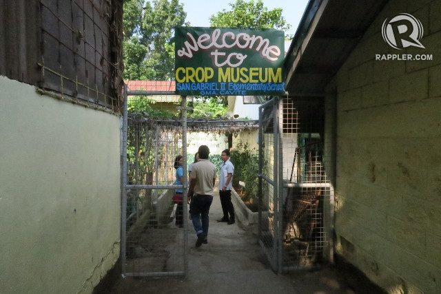 VEGGIE PARADISE. The Crop Museum is where San Gabriel II Elementary School plants Philippine vegetables and fruits. 