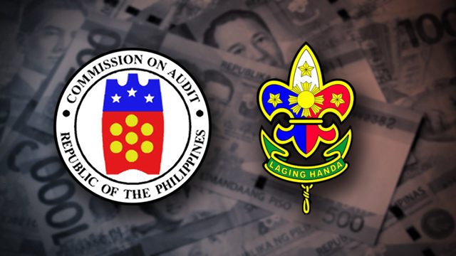 COA to Boy Scouts: Produce records for P221M collections