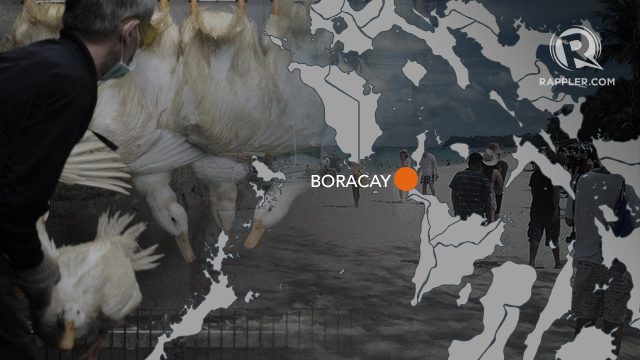Authorities keeping close watch over poultry shipments to Boracay