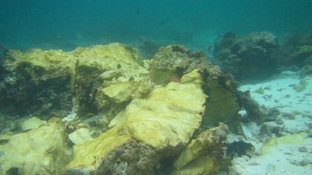 PATAH. Kondisi terumbu karang usai ditabrak oleh kapal pesiar asal Inggris, Caledonian Sky pada Sabtu, 4 Maret. Foto oleh Kementerian Lingkungan Hidup dan Kehutananan 