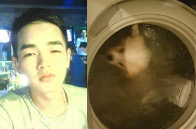 Dog ‘cleaned’ in washing machine sparks anger in Hong Kong
