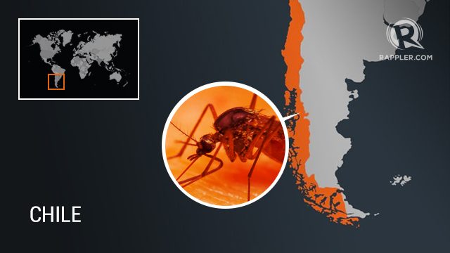 Chile reports first case of sexually transmitted Zika