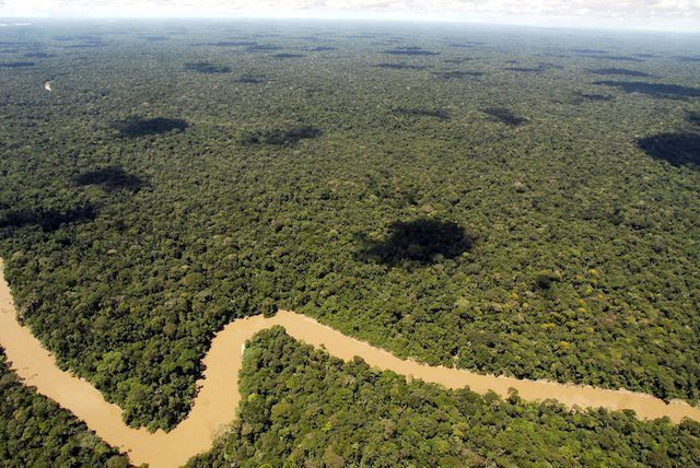 Climate: Tropical forests in trouble