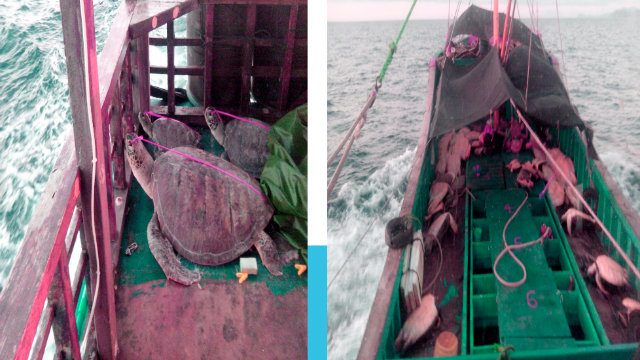 More illegal fishers seized if not for ‘slow’ PH boat – PNP