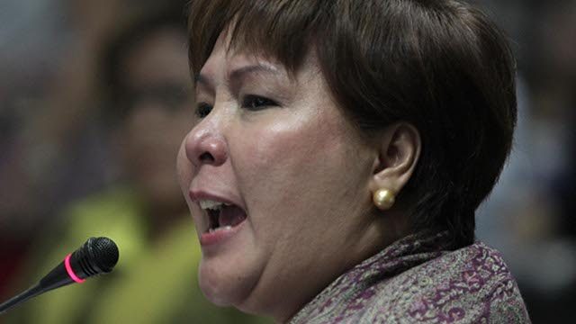 'SUE ME.' Sandra Cam, an oppositor to De Lima's confirmation, dares the secretary to sue her for libel for speaking about De Lima's alleged illicit affairs. Photo by Alex Nuevaespaña/Senate PRIB