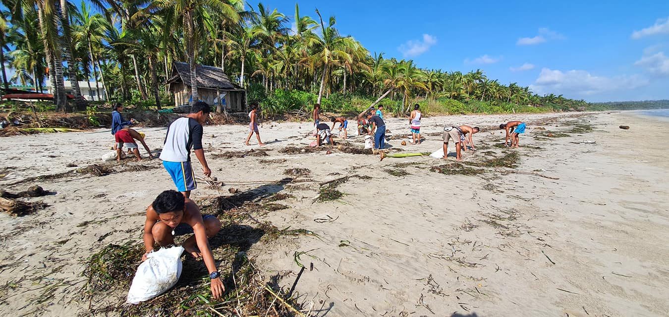 LOOK: After Typhoon Tisoy, surfers in Sorsogon join hands in clean-up drive