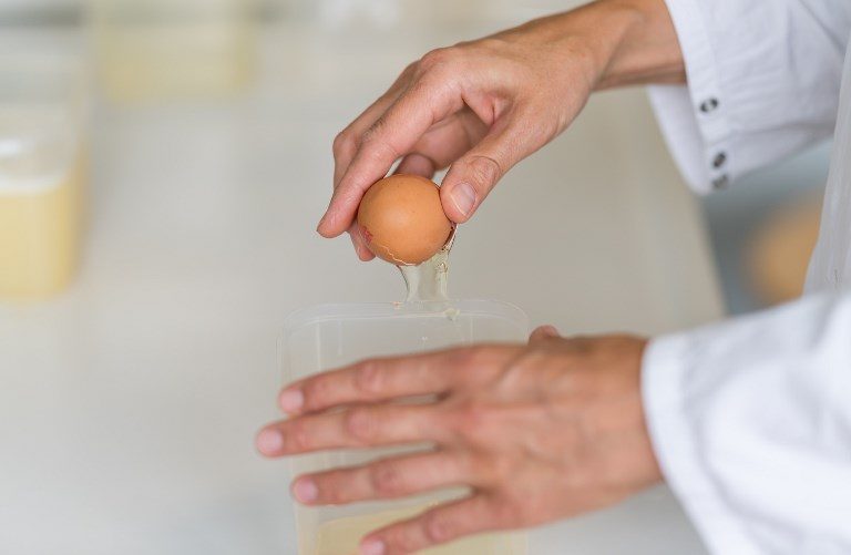 Two arrested as Europe tries to crack egg scandal