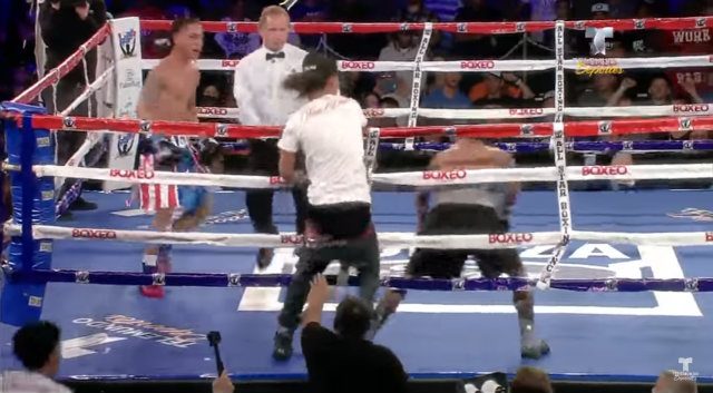 WATCH: Spectator takes a swing at boxer during fight