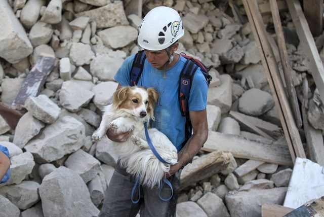 Kemlu: Tidak ada WNI jadi korban gempa di Italia