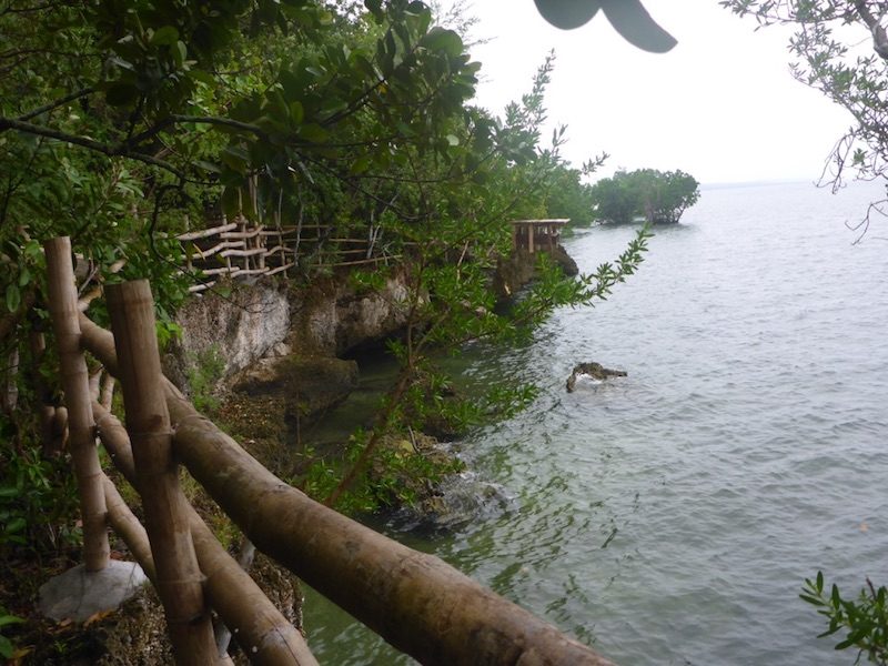 BARANGAY DAPDAP. The barangays of Esperanza and Dapap share a marine sanctuary and mangrove reserve.  