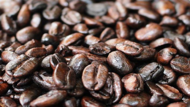 BIJI KOPI. Biji kopi Gunung Putang yang digemari para pecinta kopi. Foto oleh Ari Susanto/Rappler 