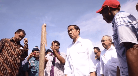 Blusukan asap Jokowi di Riau berhasil cegah kebakaran hutan untuk saat ini