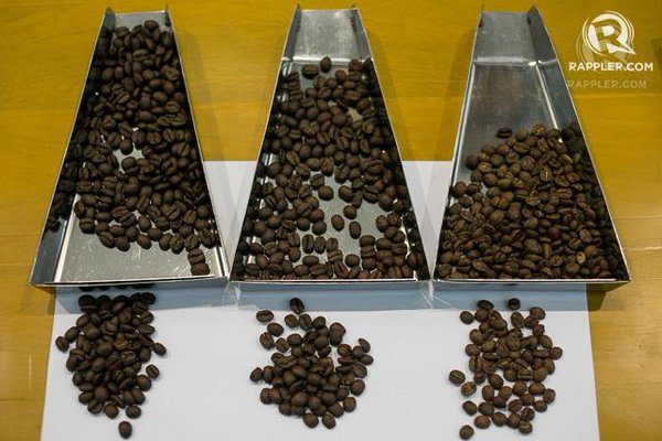 Coffee-lover? Top Indonesian beans, coffee according to Australian ambassador