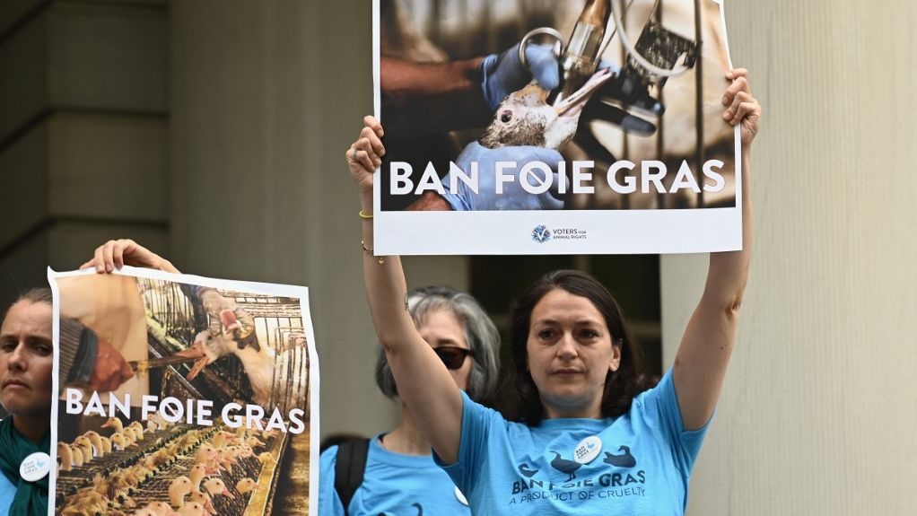 New York debates banning foie gras