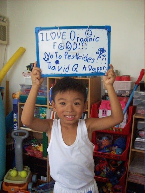 NO TO PESTICIDES. At 5 years old, David can enumerate the scientific names of at least 20 fruits and vegetables, and he wants them organic. Photo by Romy Quijano/PANAP