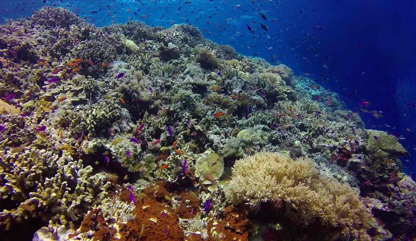 For 5th year, Philippines is ‘Asia’s Leading Dive Destination’ once again
