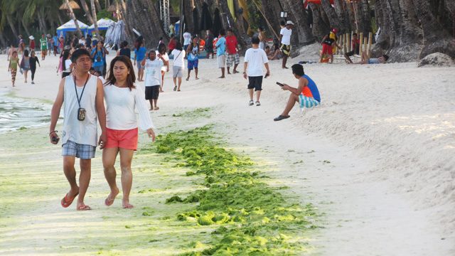 GREEN TIDE. According to BFI, green algae have existed in Boracay even before its development. However, overpopulation is also a factor to why the algae keep coming back – and why these are more persistent now. Photo by Krista Garcia/Rappler 