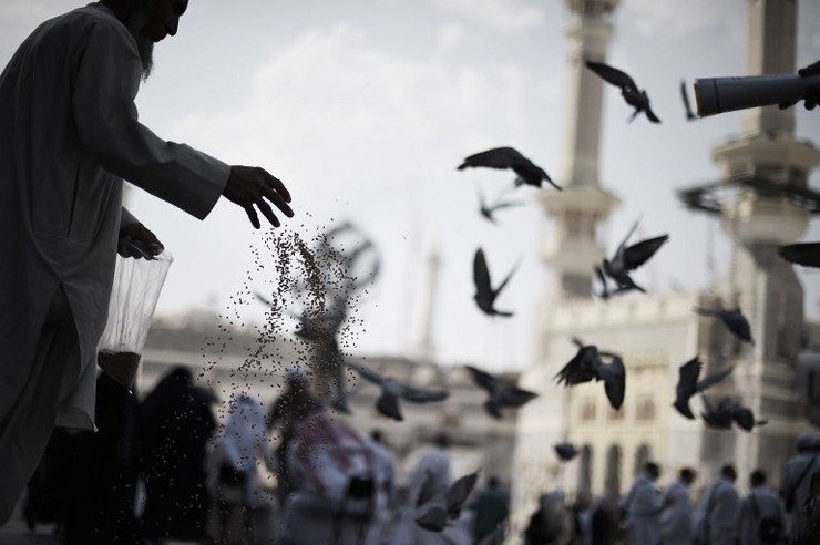 With wheelchairs, walking sticks, pilgrims throng Mecca for hajj