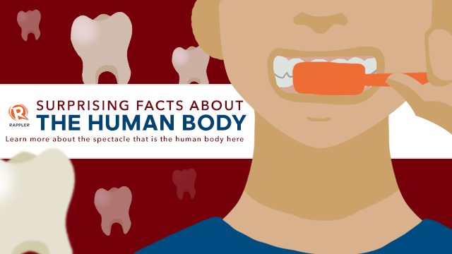 Surprising facts about the human body