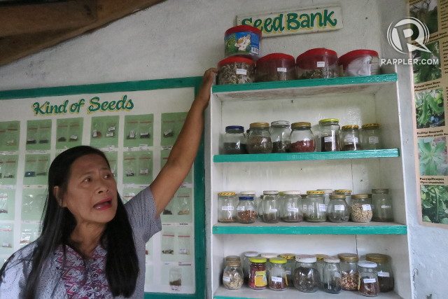 SEED EXCHANGE. School garden teacher Julie Rivera says the Seed Bank is where the school keeps its precious seeds. 