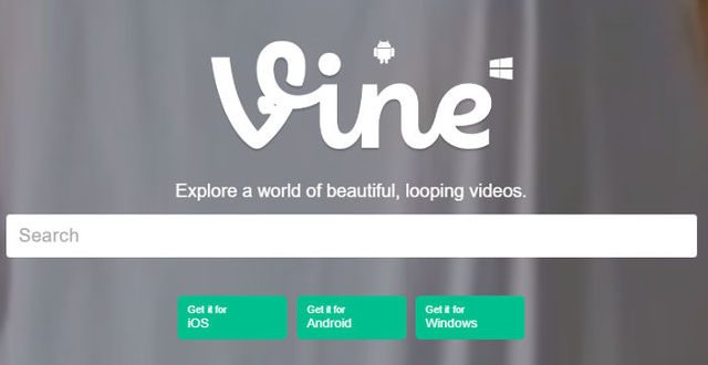 Twitter considers selling off Vine – report