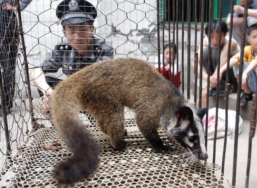 China bans wild animal trade until viral outbreak eases