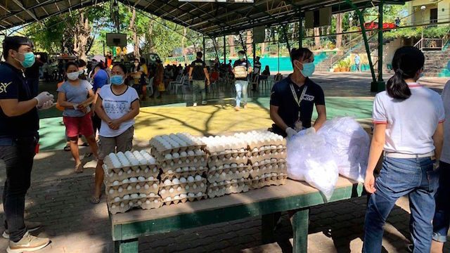 Tarlac province distributes vegetable seeds, too