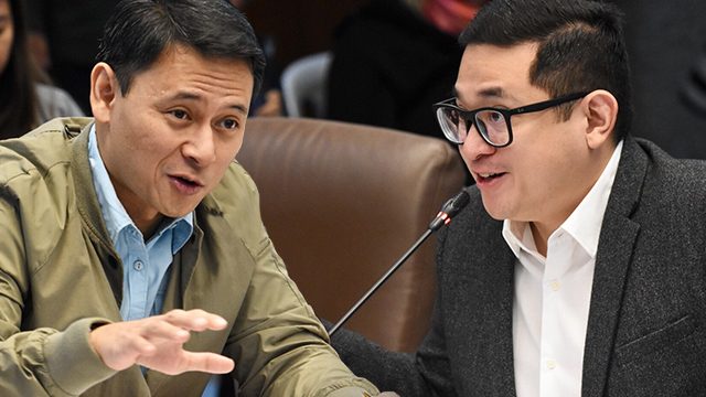 Senators to ensure CHED 2019 budget covers scholars of other programs