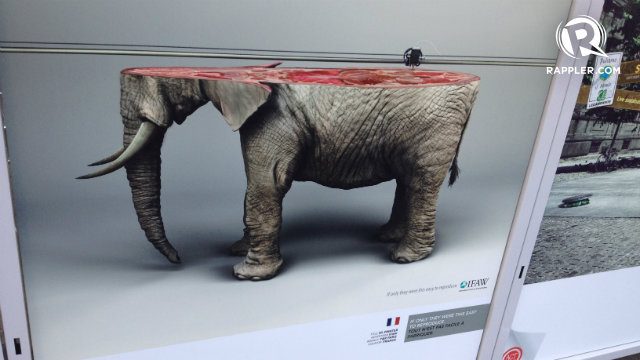 WILDLIFE. An image of a rhinoceros split in half exhibited on the sidelines of the Paris climate talks. 'If only they were easy to reproduce,' it says.  