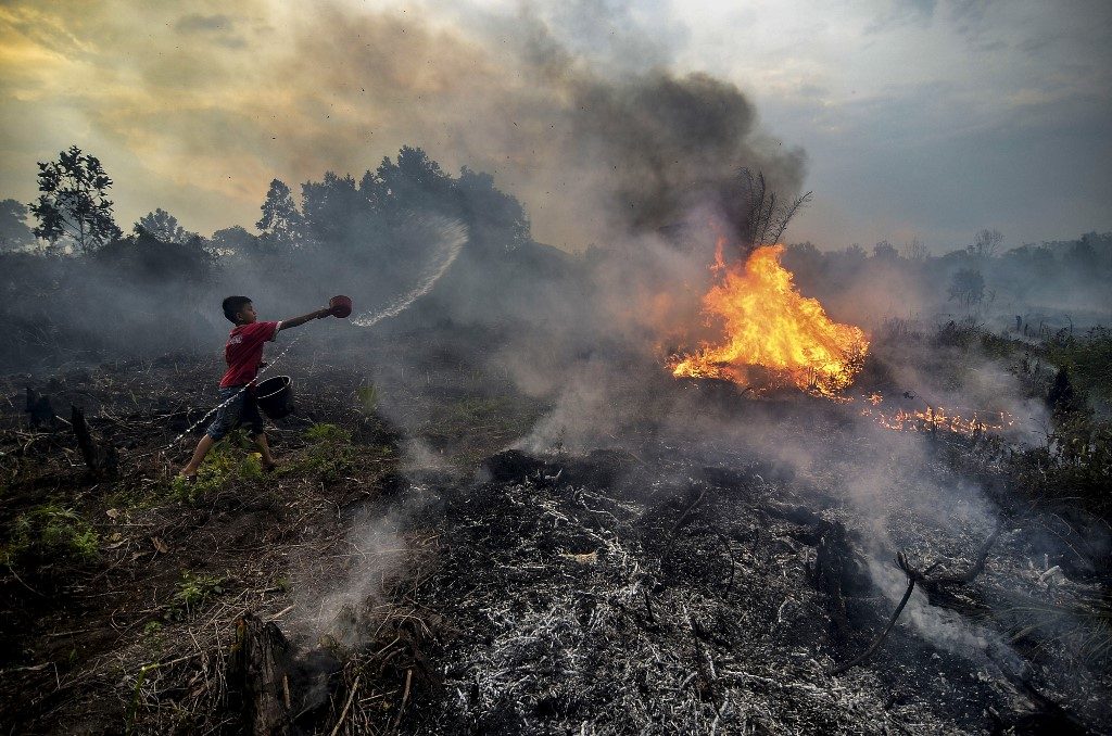 Indonesia hit with $5.2 billion in forest fire losses – World Bank