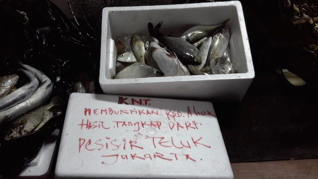 Nelayan serahkan ikan dari pesisir Muara Angke untuk Gubernur Ahok. 