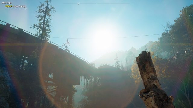 BLOOMING WILDERNESS. Life finds a way in the Far Cry New Dawn's nuclear winter 
