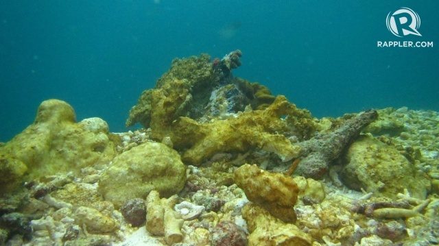 RUSAK. Kondisi terumbu karang di Radja Ampat yang rusak akibat ditabrak oleh Kapal Pesiar Caledonian Sky asal Inggris ketika tengah berlayar dari Papua Nugini menuju ke Filipina. Foto oleh Kementerian Lingkungan Hidup dan Kehutanan 