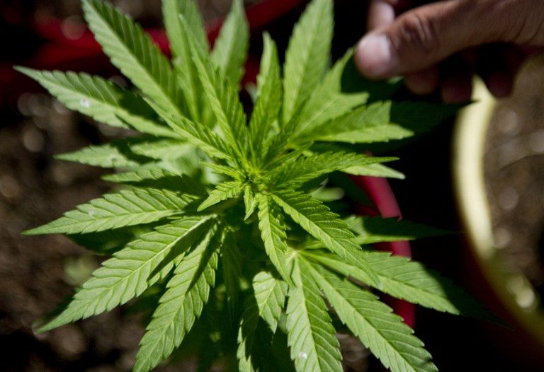 House passes bill legalizing medical marijuana