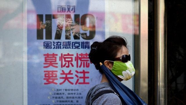China 2014 bird flu toll rises to nearly 100